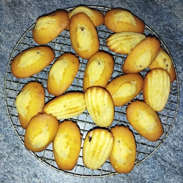 Madeleines Coeur Coulant Guy Demarle