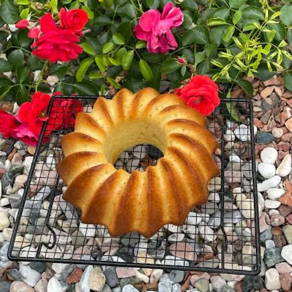 Gateau Nuage Aux Pommes Guy Demarle