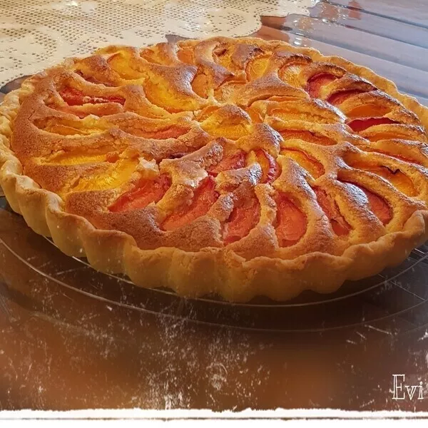 Tarte Aux Abricots Amandine Evi Guy Demarle