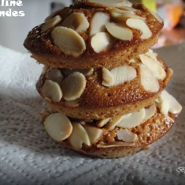 Moelleux Au Praliné Et Amandes | Guy Demarle