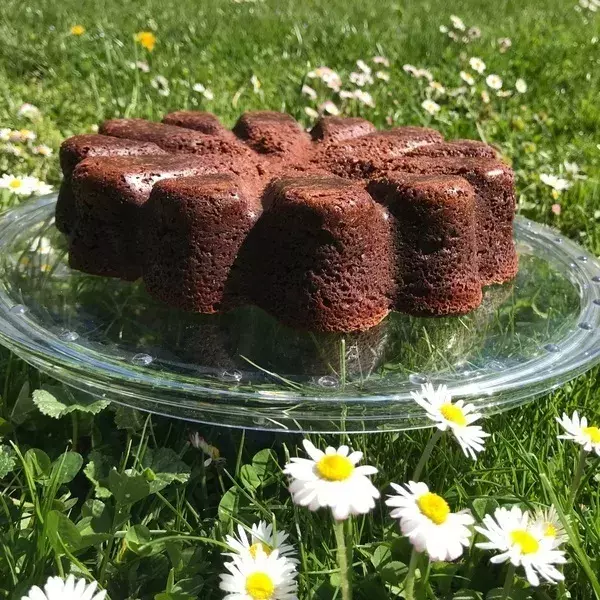 Gâteau baulois 