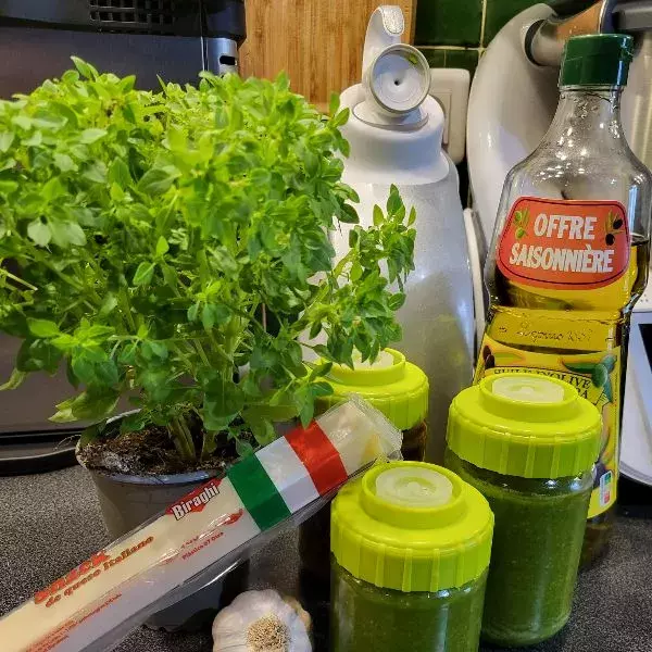 Pesto vert Maison