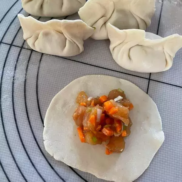 Gyozas au poulet