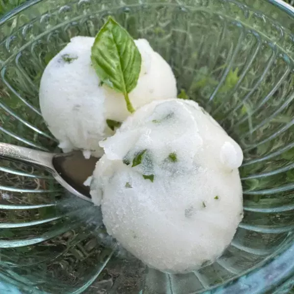 SORBET CITRON BASILIC DU JARDIN