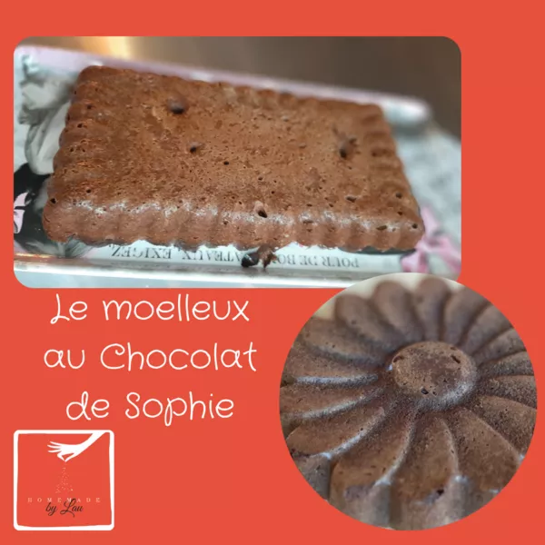 Palets De De Couverture Chocolat Blanc 1 Kg + 1 Poudre Alimentaire Irisée  Dorée à Prix Carrefour