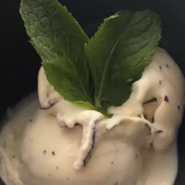 Crème glacée menthe chocolat