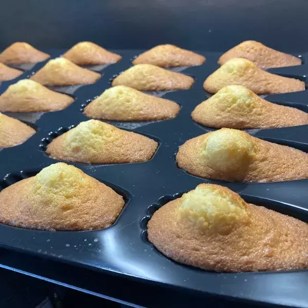 Madeleines